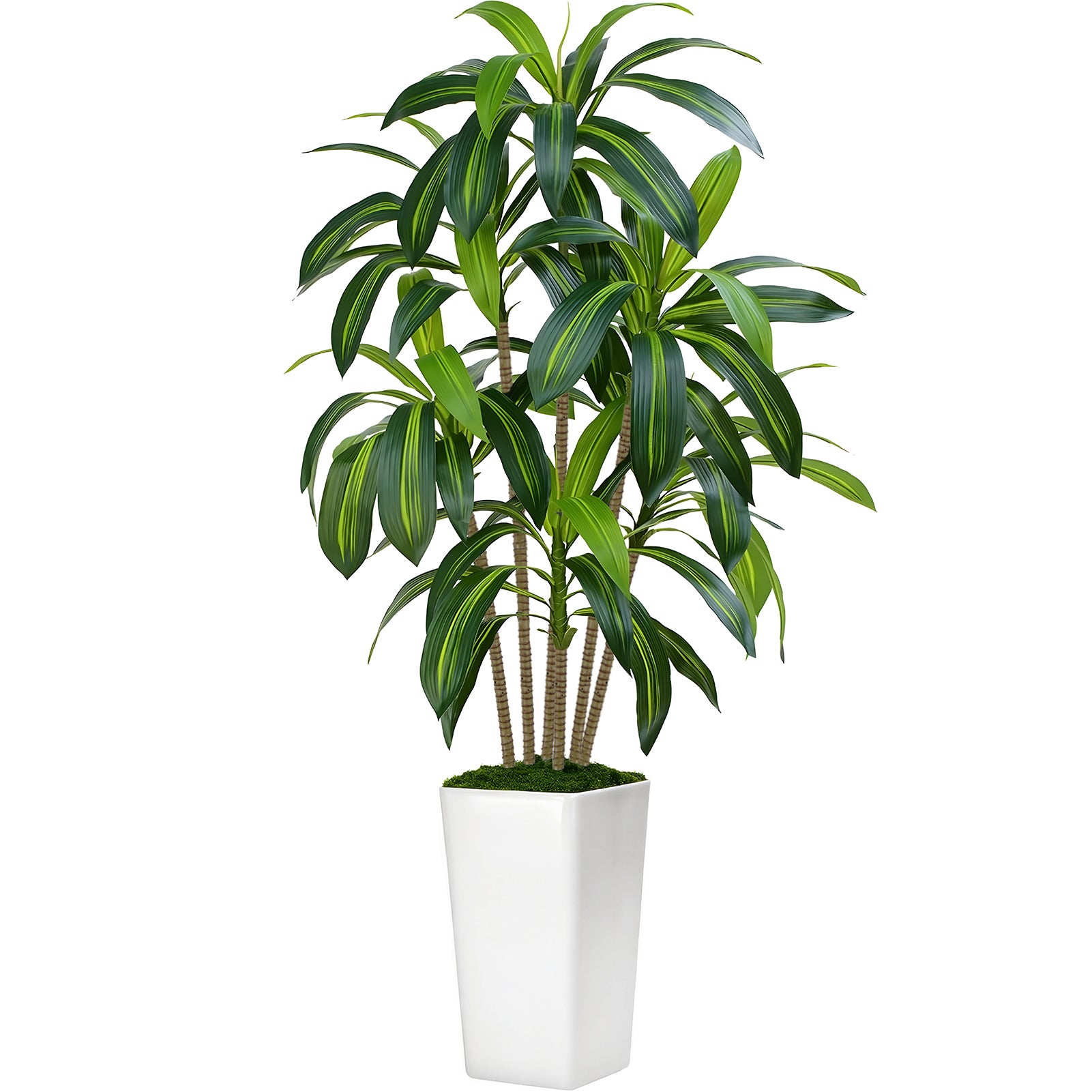 CandWuom 5FT Artificial Dracaena Tree,Fake Tree with White Tall Planter - Faux Yucca Tall Fake Floor Plant in Pot - Artificial Trees for Home Office Living Room Decor Indoor