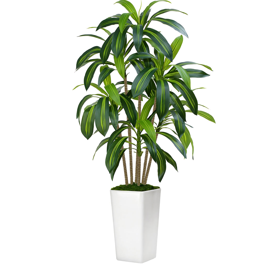 CandWuom 6FT Artificial Dracaena Tree,Fake Tree with White Tall Planter - Faux Yucca Tall Fake Floor Plant in Pot - Artificial Trees for Home Office Living Room Decor Indoor