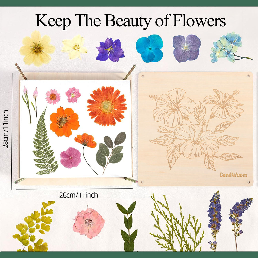 CandWuom Flower Press Kit, 11" x 11" Large 10 Layers Wooden Flower Pressing for Adults & Kids, Bouquet Preservation Craft Kit, DIY Flowers Drying Art, Ideal Gift for Arts and Crafts Lovers