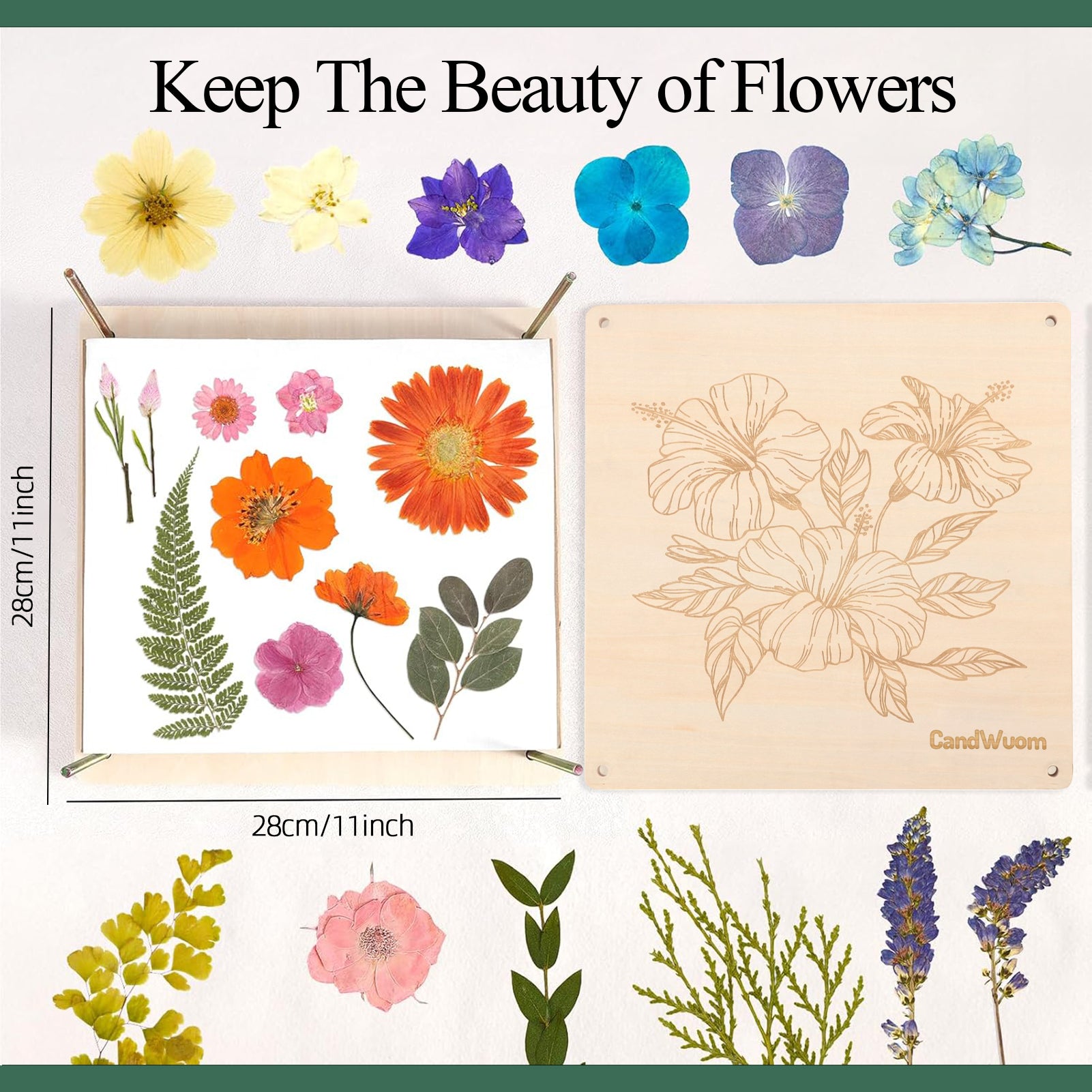 CandWuom Flower Press Kit, 11" x 11" Large 10 Layers Wooden Flower Pressing for Adults & Kids, Bouquet Preservation Craft Kit, DIY Flowers Drying Art, Ideal Gift for Arts and Crafts Lovers